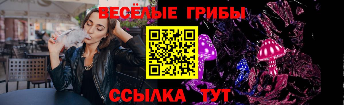 Псилоцибиновые грибы Psilocybine cubensis Донской